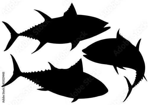 Sea tuna in the set.