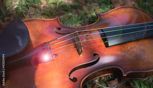 Blurred Violin put on green grass ground floor,