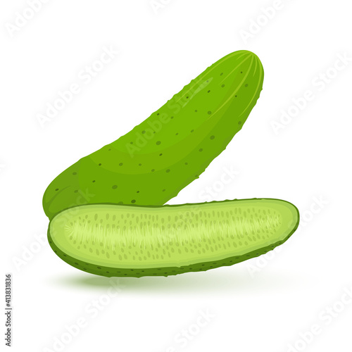 Whole and sliced cucumber,Vegetables. Vector illustration cartoon flat icon isolated on white.
