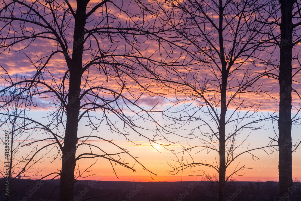 Sunrise viewed through bare branches Sunrise viewed through bare branches