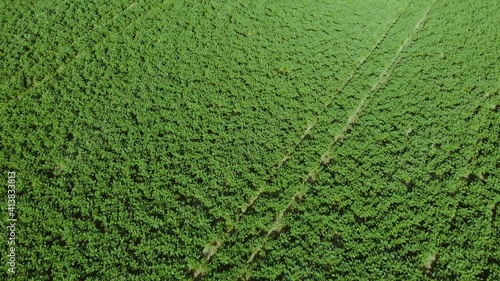 Green Field with Traktor Traks Birdview Flyover Slowmotion photo