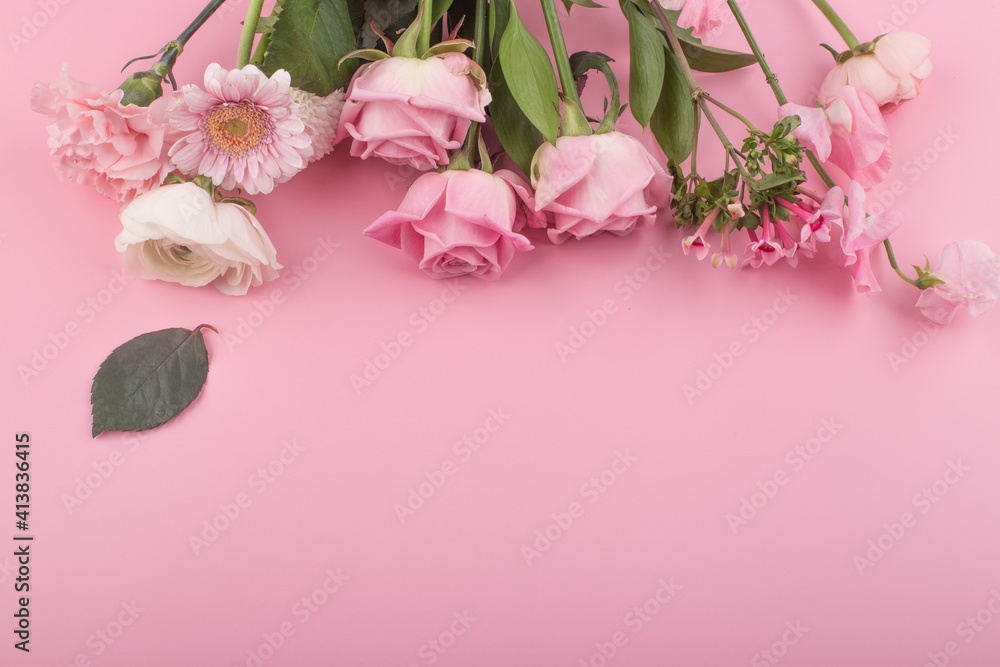 flower of pink roses on pink background.