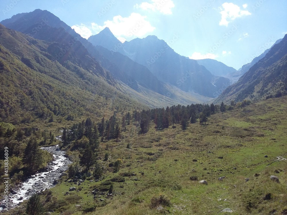 Obraz premium landscape in summer