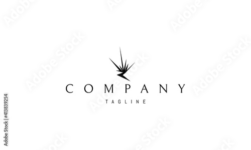 Vector logo on which an abstract image of an explosion in a trench.