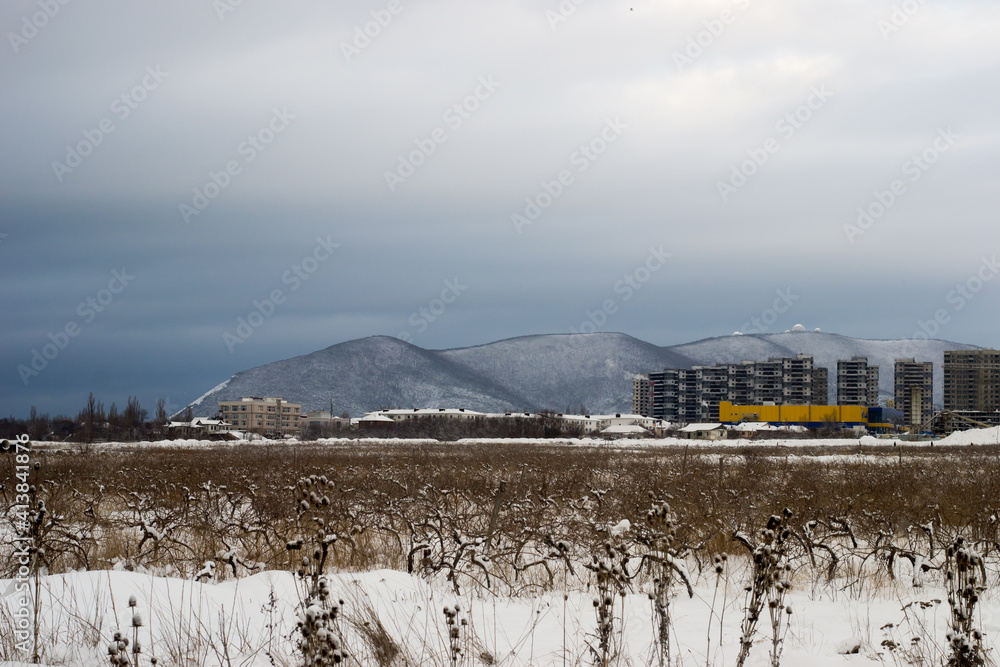 snow covered bridge in winter