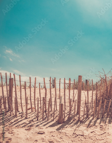 Sand dunes system on beach at sunrise photo