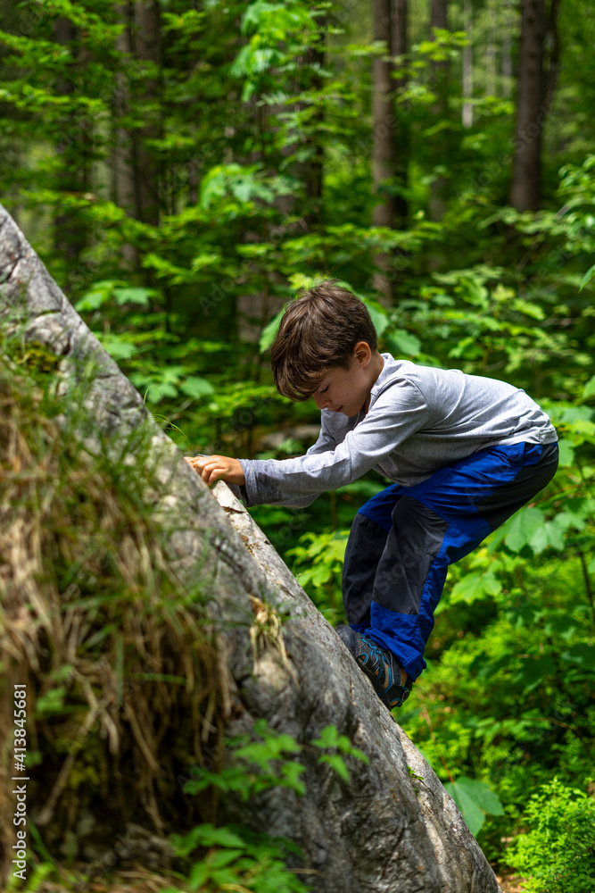 Young boy climbing a rock during a hike in the alpine forest Young boy climbing a rock during a hike in the alpine forest