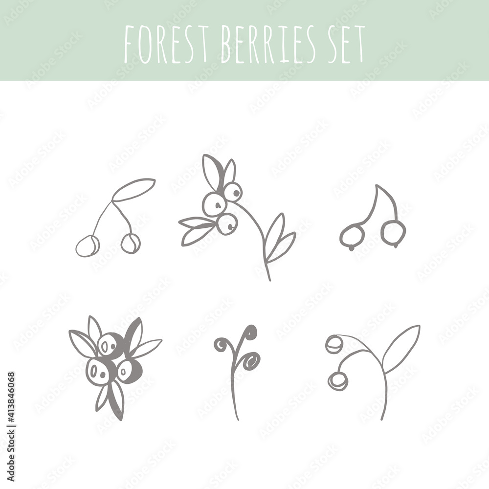 Fototapeta premium Forest Berries and herbal set. Graphic collection with fantasy field herbs. Hand drawn elements. Botanical elements for design on a white background. Sketch of branch, foliage,leaves, berries