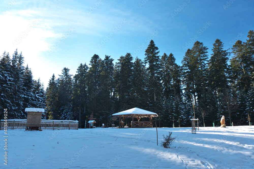 Kraftvolle weitwinkelaufnahme im schwarzwald mit schnee, blauem himmel, tannen natürlich mit kraftvollen farben
