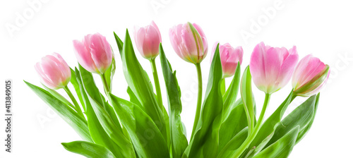 Tulpensteauss aus rosafarbenen Tulpen