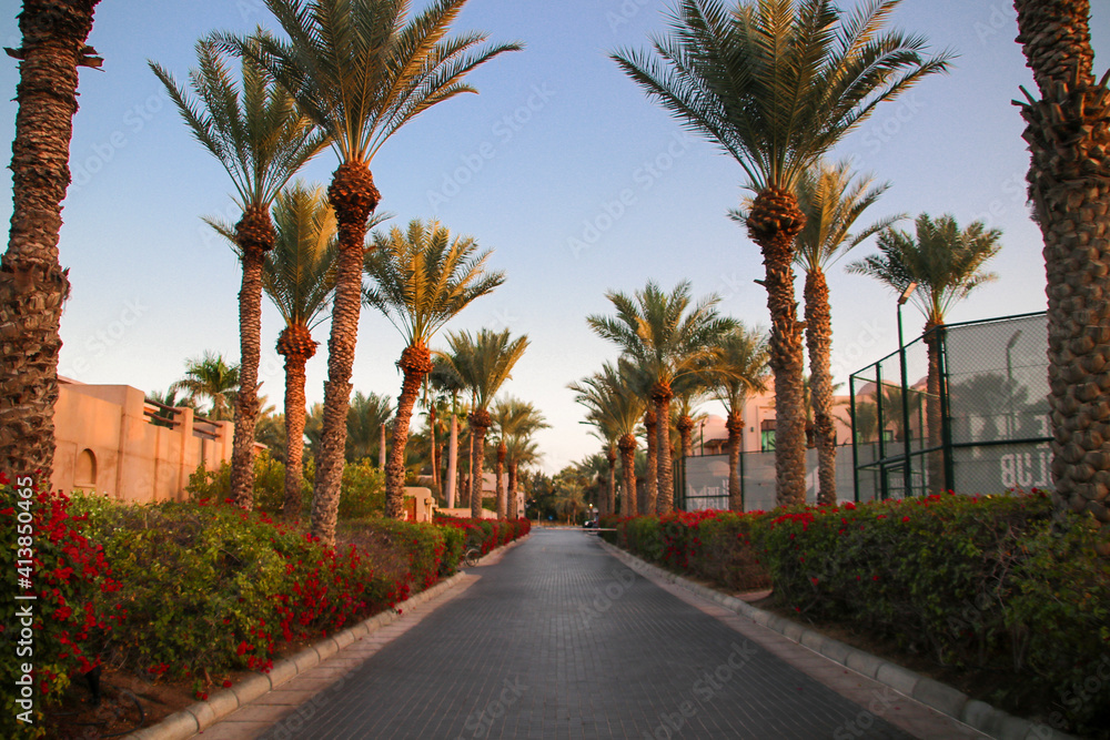 Palm and flower alley in dubai