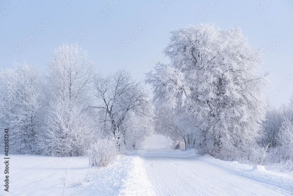 Beautiful winter landscape with snow-covered road, cold sunny winter morning in the country, with white trees covered with frost, winter photography with mist, fairytale-like atmosphere