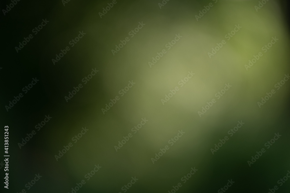 Obraz premium green background with soft light flare bokeh