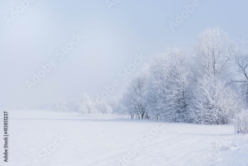 rural winter lanscape with field and trees, trees covered with heavy frost disappearing in mist, cold morning with hoarfrost