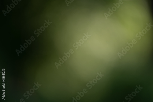 green background with soft light flare bokeh