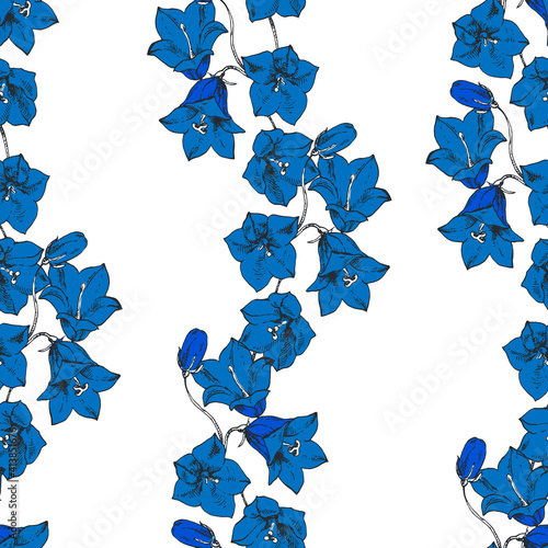 Seamless hand drawn floral blue pattern. Bellflower, harebell, campanula. Spring tracery, ornament for design