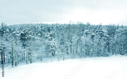 Aerial view from drone on blue snowy forest in winter