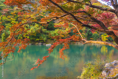 Fototapeta Naklejka Na Ścianę i Meble -  Arashiyama in autumn along the river, Kyoto, Japan. with high resolution files.