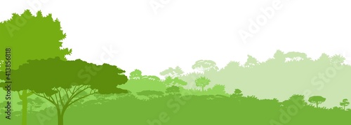 Deciduous forest. Silhouette. Mature, spreading trees. Thick thickets. Hills overgrown with plants. Isolated on a white background. Vector