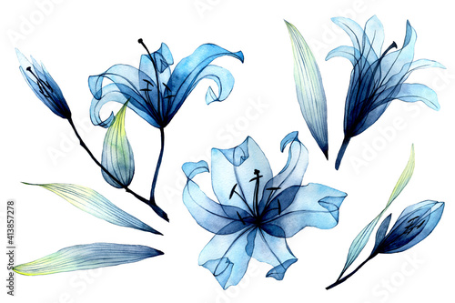 watercolor set with transparent flowers and leaves Fototapet