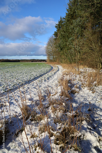 Vertical shot of car trails with trees and grassin a snow-covered field photo