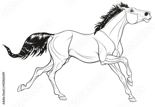 Linear illustration of a thoroughbred horse galloping with its head up. Running stallion laid its ears back. Vector black and white illustration for decoration of equestrian goods.