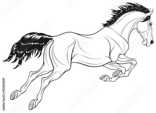 Linear image of a jumping stallion arched its neck. Leaping horse pricked up its ears. Vector monochrome illustration, design element for coloring books and emblem for equestrian shows.