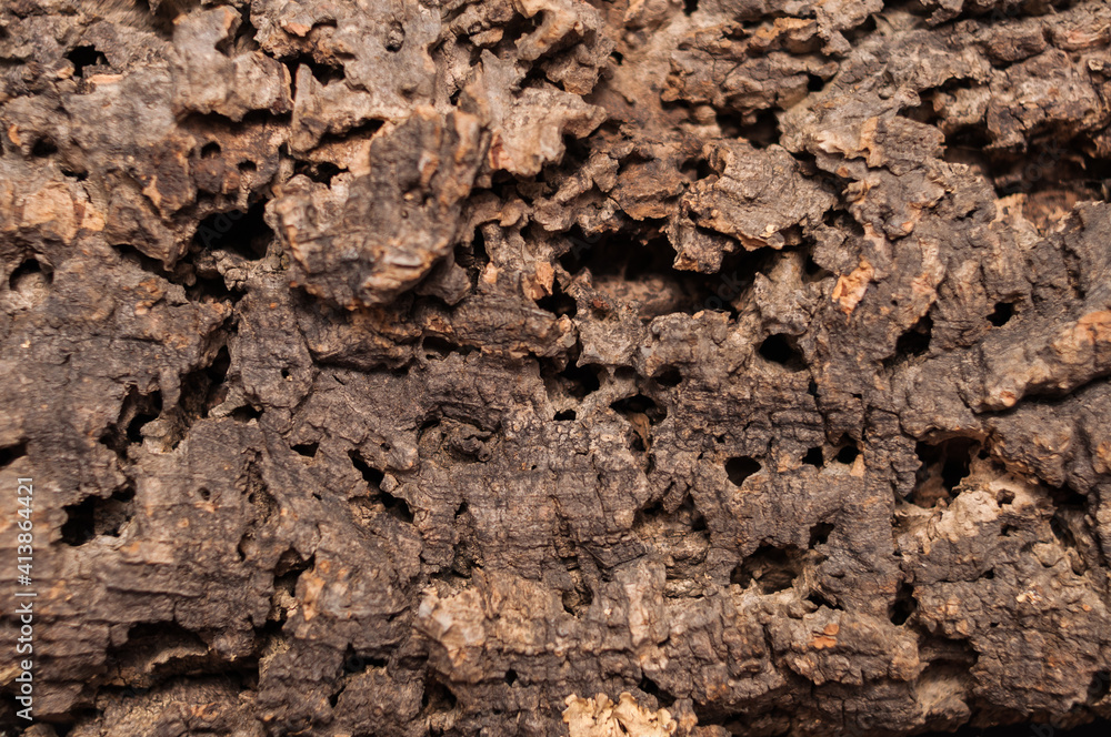 Section of a surface structure of cork. Tree bark in brown tones. Beautiful background.
Ausschnitt einer Oberflächenstruktur von Kork. Baumrinde in braunen Farbtönen