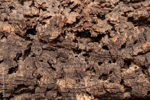 Section of a surface structure of cork. Tree bark in brown tones. Beautiful background. Ausschnitt einer Oberflächenstruktur von Kork. Baumrinde in braunen Farbtönen