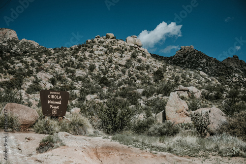 Entrance sign and landscape for Cibola National Forest photo