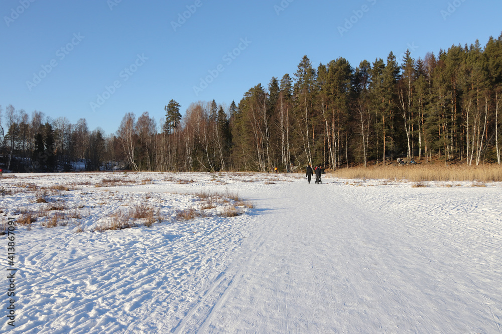 Fototapeta premium Winter