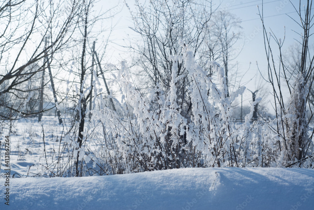 Obraz premium Winter. Season. Snow. Sun. Cold. Ice.