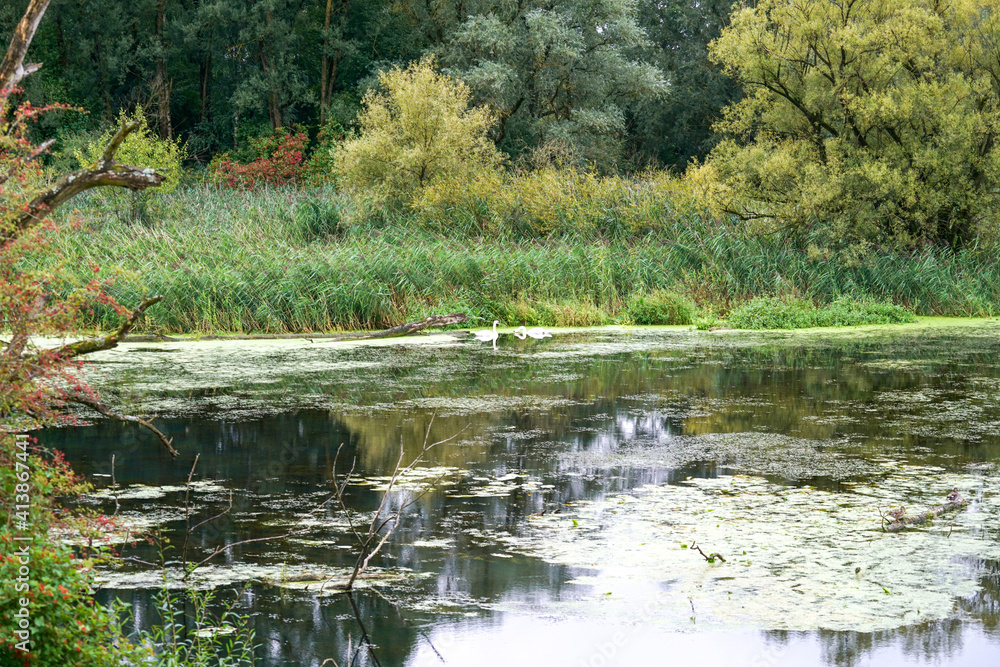 The Danube and its old waters are photographed in Bavaria near Regensburg The Danube and its old waters are photographed in Bavaria near Regensburg