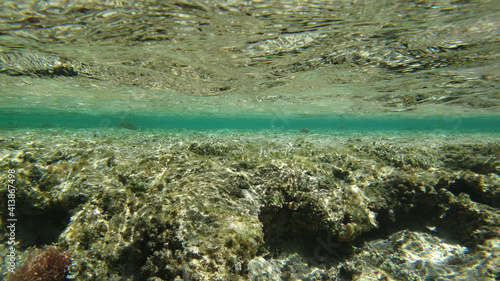 Morze Czerwone, ryby, koralowce, nurkowanie, płaszczka, meduza, wakacje, woda słońce, moczarki