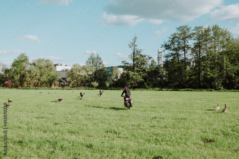 A cyclist in a meadow with ducks in Germany A cyclist in a meadow with ducks in Germany