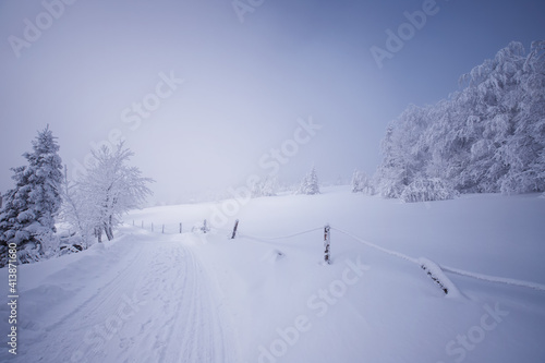 Fototapeta Naklejka Na Ścianę i Meble -  Białe drzewa. Krajobraz zimowy, góry Beskidy, Polska