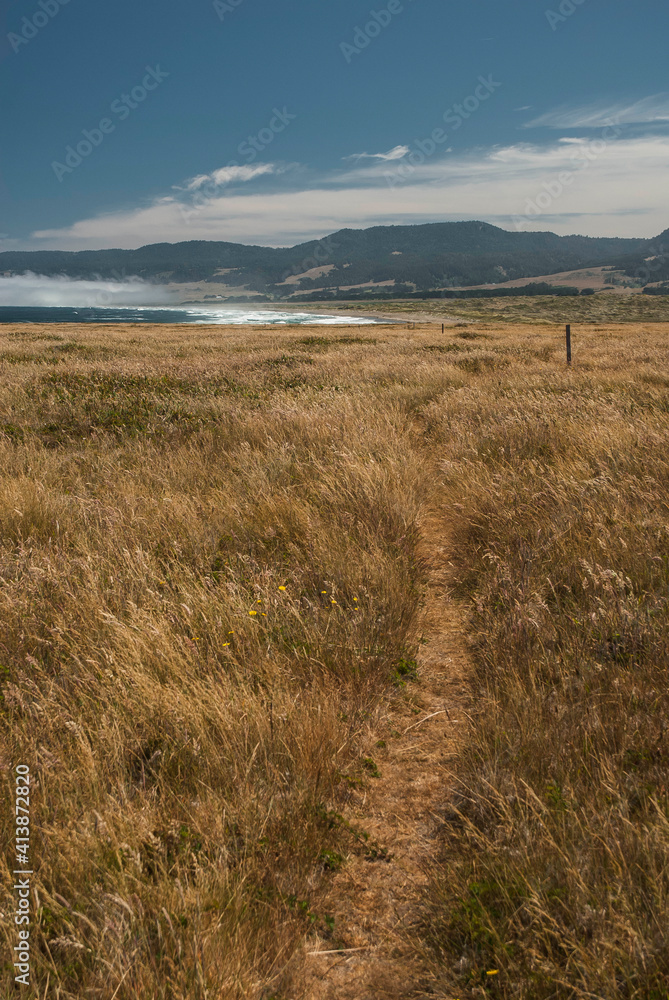 A trail winds through a grassy field towards a empty beach A trail winds through a grassy field towards a empty beach