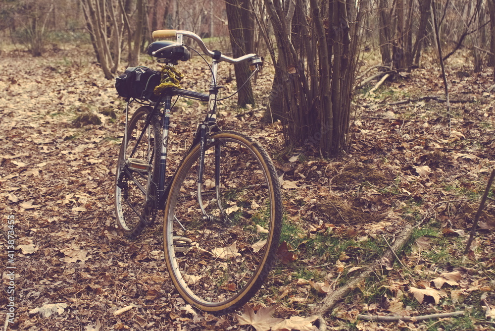 Vecchia bicicletta nel bosco