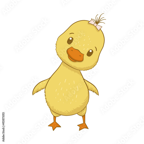Cute baby duck isolated on white background
