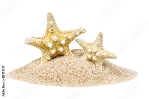 Two star fish on hipped sand, isoalated