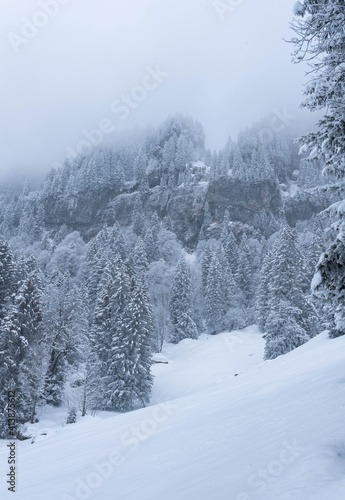 Romantik im Winter mit Schnee © UrbanExplorer