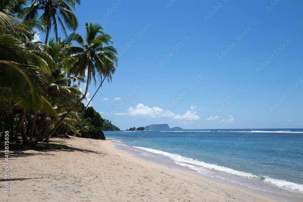 Empty wide sandy beach, with leaning palm trees, Samoa, South Pacific Empty wide sandy beach, with leaning palm trees, Samoa, South Pacific