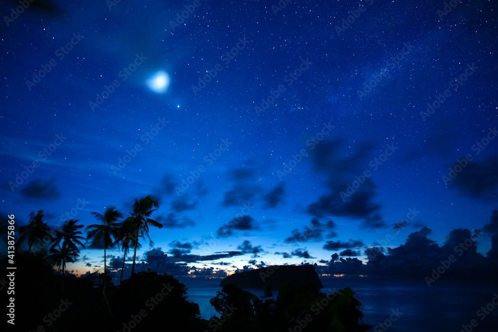 palm trees and ocean, under night sky of Samoa, South Pacific palm trees and ocean, under night sky of Samoa, South Pacific