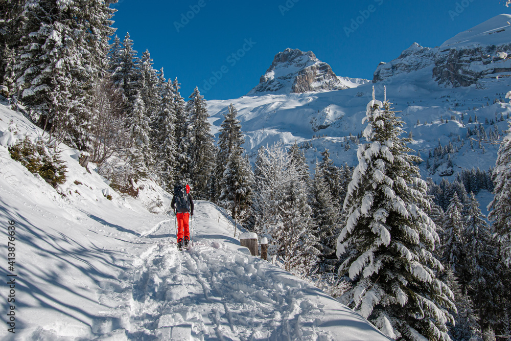 Splitboarding in the trees, Pointe Percée,Aravis, French Alps Splitboarding in the trees, Pointe Percée,Aravis, French Alps