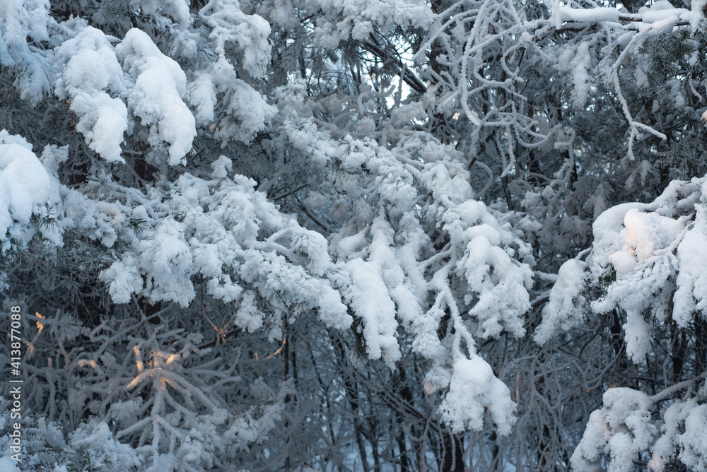Winter Winter