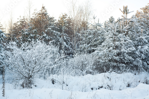 Wallpaper Mural Winter Torontodigital.ca