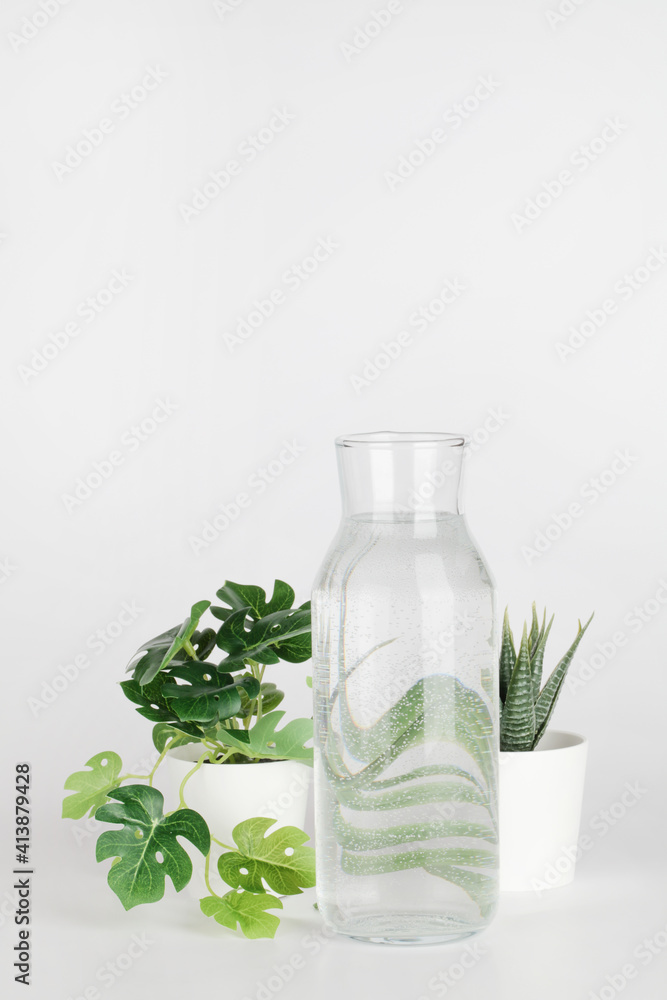 plants in pots distorted through water in bottle on white background. Home decor, eco friendly, relax, gardening concept. copy space plants in pots distorted through water in bottle on white background. Home decor, eco friendly, relax, gardening concept. copy space