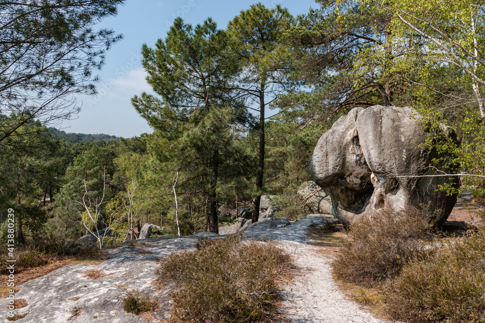 A tooth shaped boulder in Fontainebleau, France