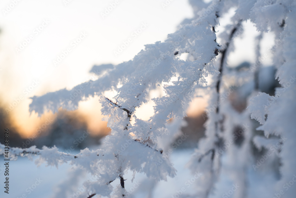 Obraz premium Winter. Snow. Sky.