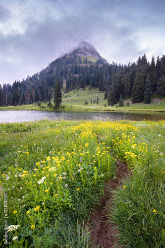 View of Yakima peak from Tipsoo lake with wildflowers in foregro photo